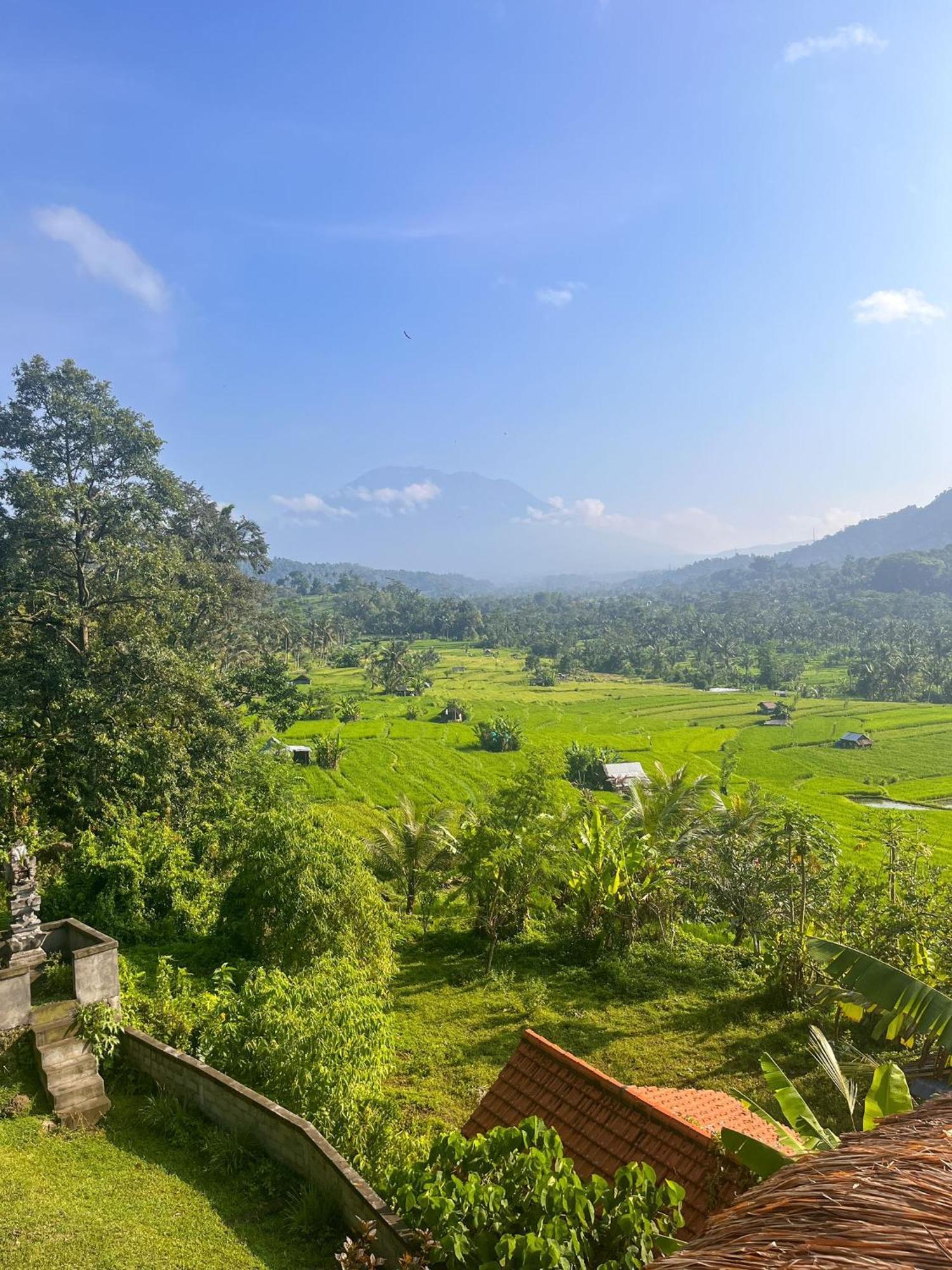 Villa Lumbung Ayu Sari & Spa Karangasem Eksteriør billede